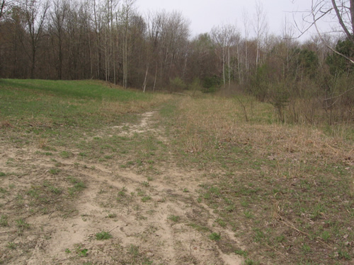 Western Michigan Speedway (West Michigan Speedway) - Spring 2008 From Me (newer photo)